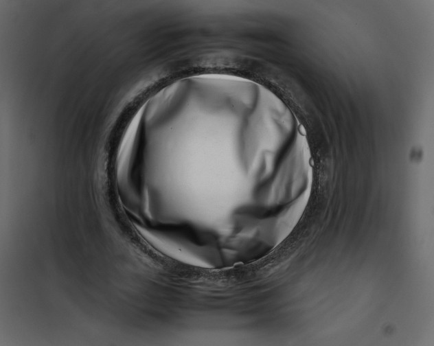 X0000101100727200807171911