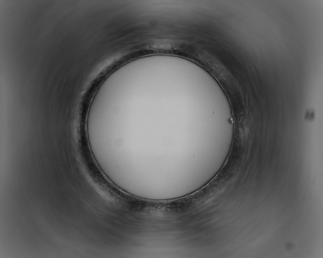 X0000101100728200807171911