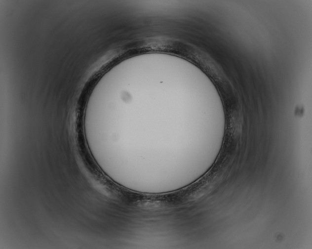 X0000101100730200807171911