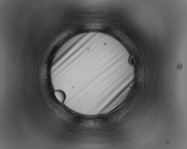 X0000101100731200807171911