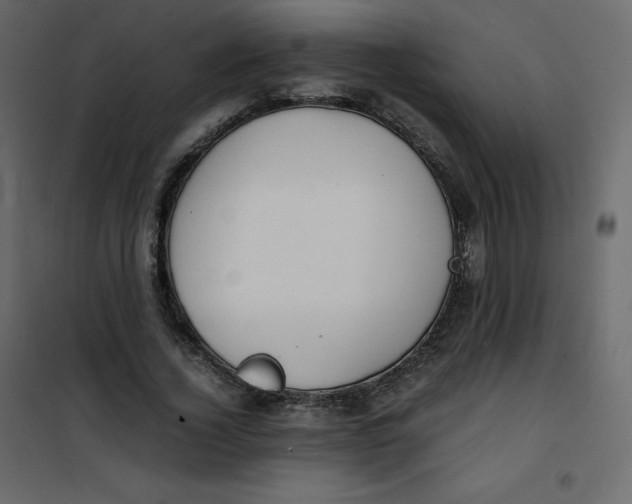 X0000101100732200807171911