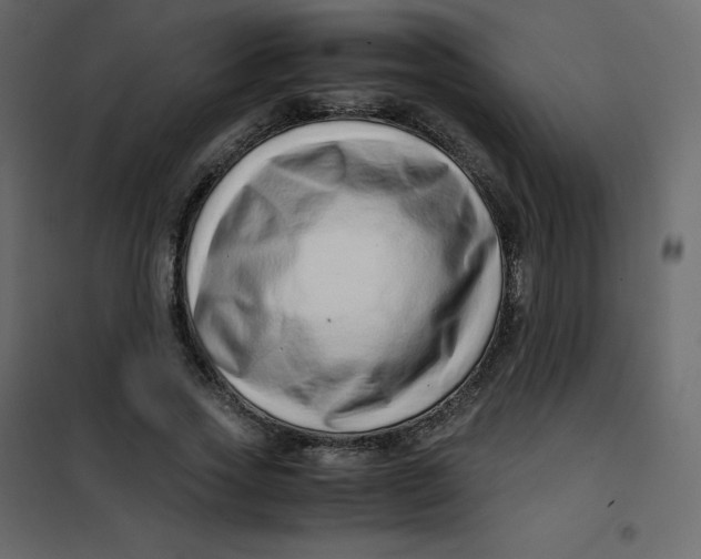 X0000101100733200807171911