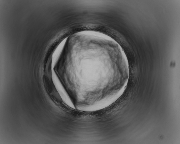 X0000101100734200807171911