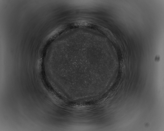 X0000101100735200807171911