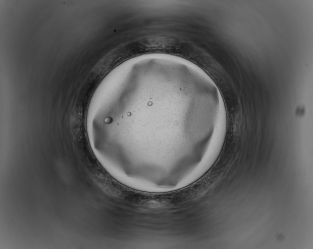 X0000101100737200807171911