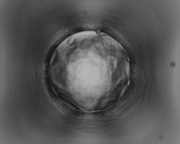 X0000101100738200807171911