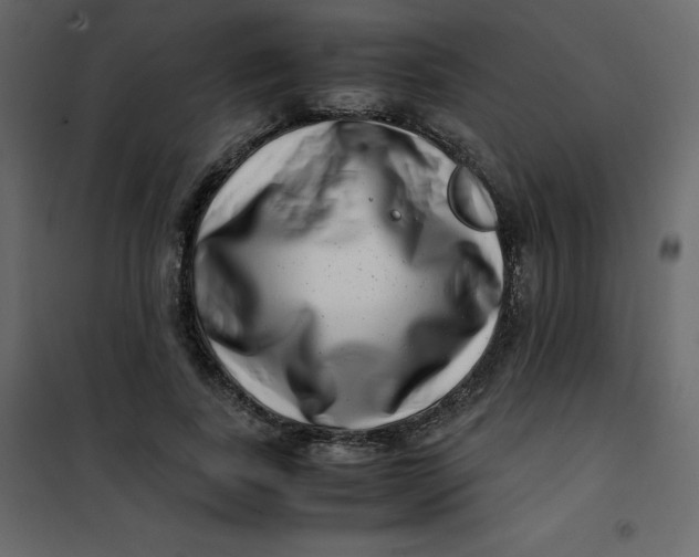 X0000101100739200807171911