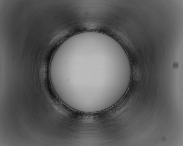 X0000101100740200807171911