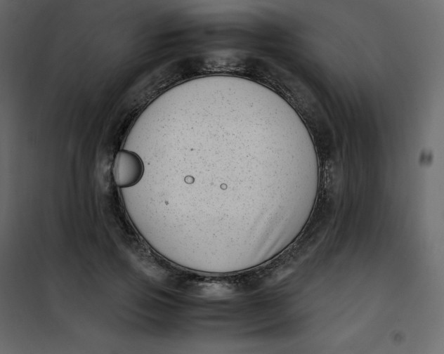 X0000101100741200807171911