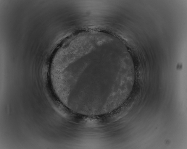 X0000101100742200807171911