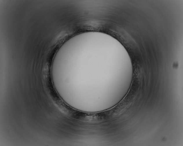 X0000101100744200807171911