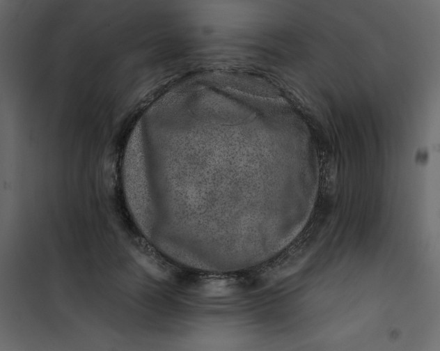 X0000101100746200807171911