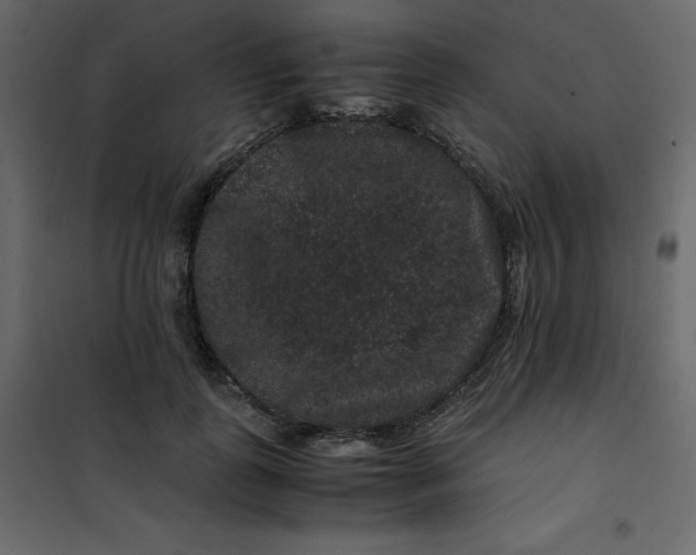 X0000101100747200807171911