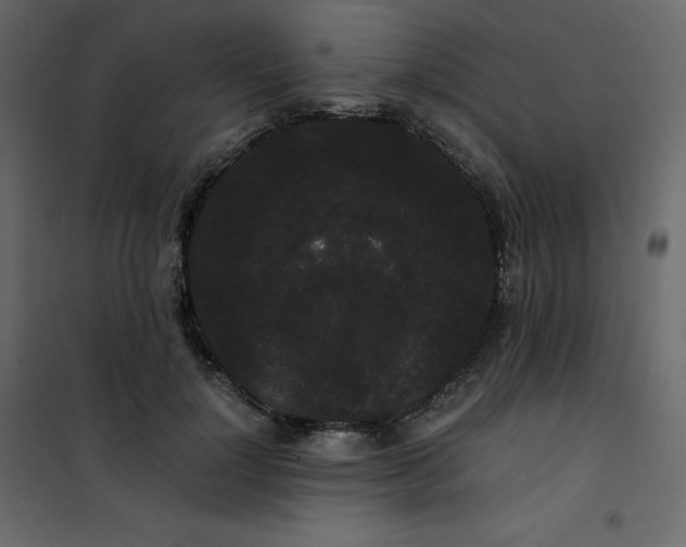 X0000101100748200807171911