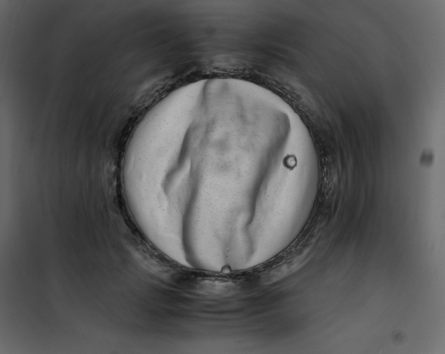 X0000101100749200807171912