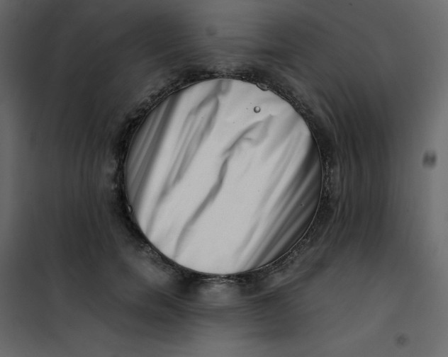 X0000101100750200807171912