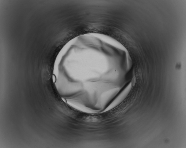 X0000101100751200807171912