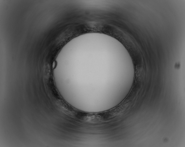 X0000101100752200807171912