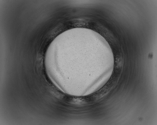 X0000101100753200807171912