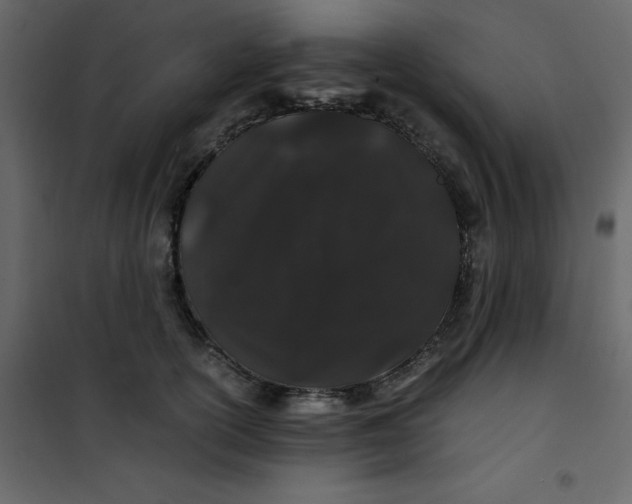 X0000101100754200807171912