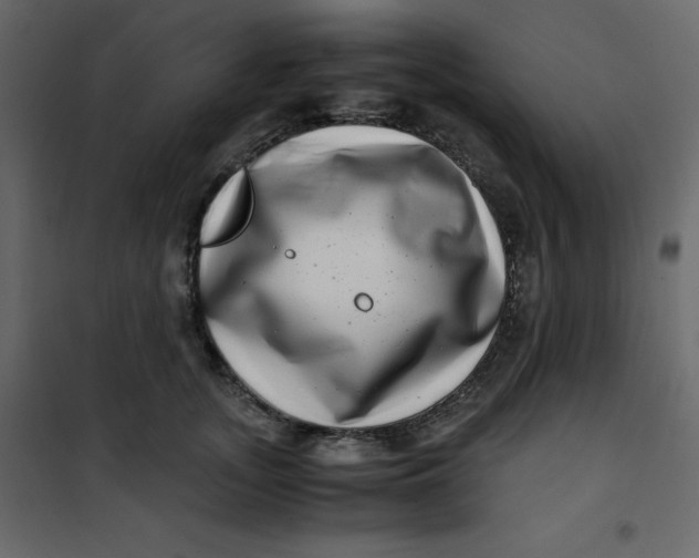 X0000101100755200807171912