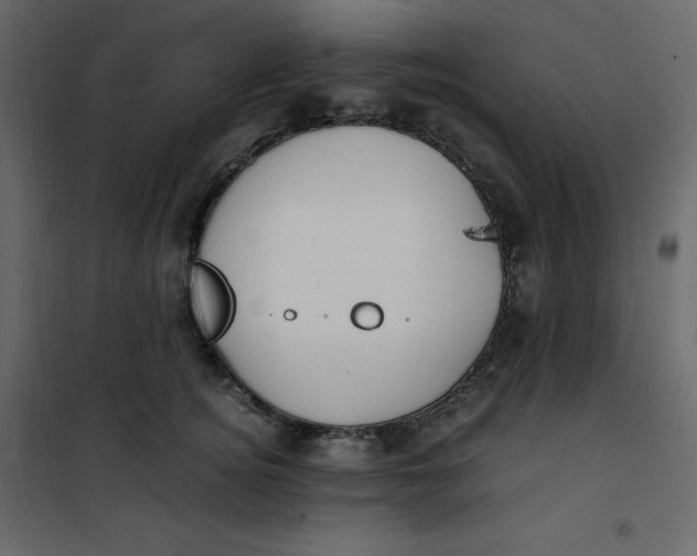 X0000101100756200807171912