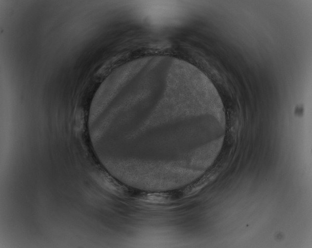 X0000101100758200807171912