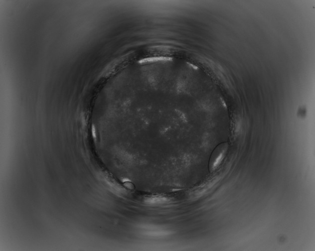 X0000101100759200807171912