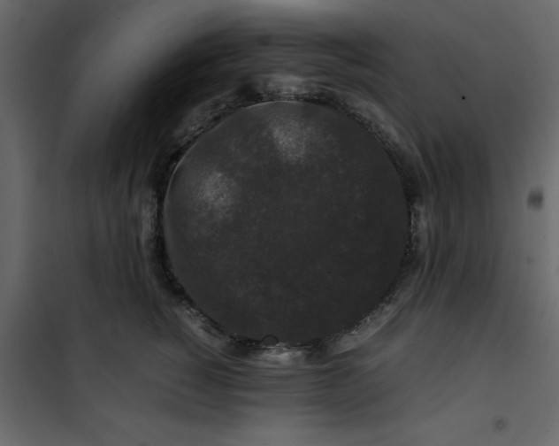 X0000101100760200807171912