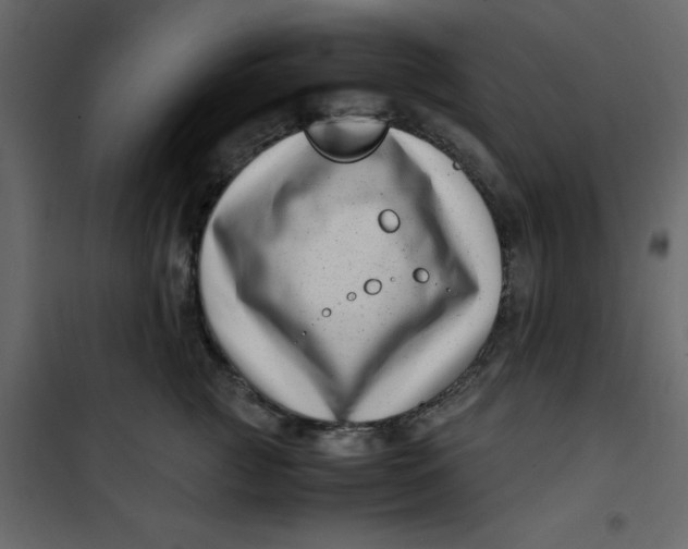 X0000101100761200807171912