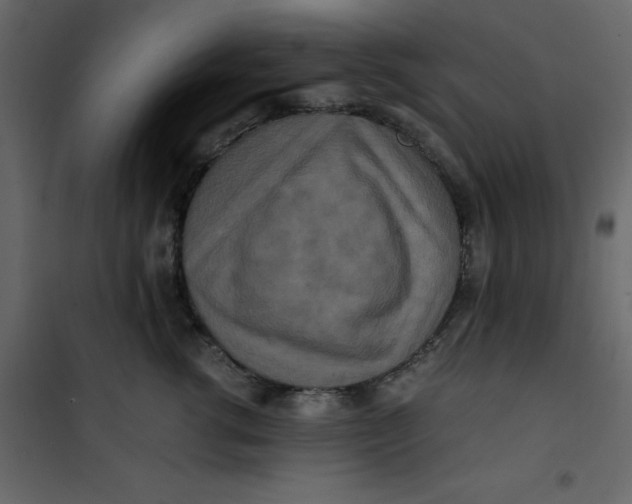 X0000101100762200807171912