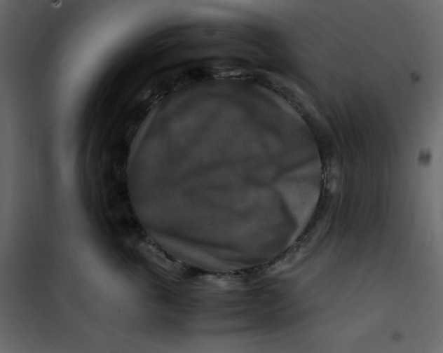 X0000101100763200807171912