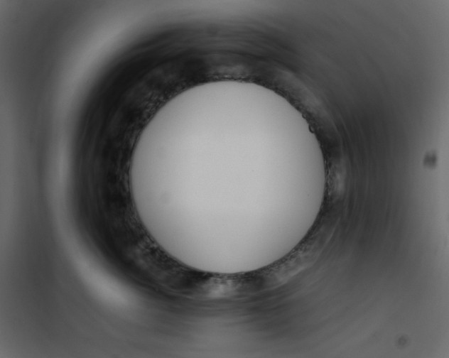 X0000101100764200807171912