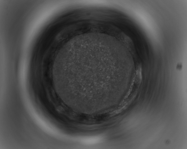 X0000101100765200807171912