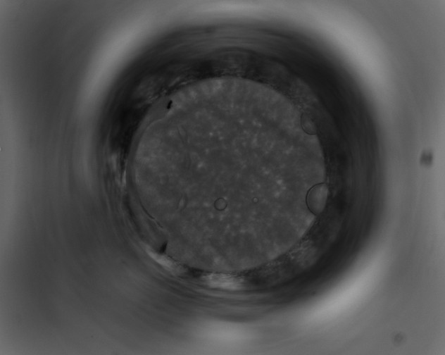 X0000101100766200807171912