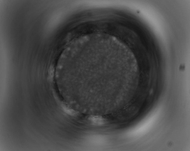 X0000101100767200807171912