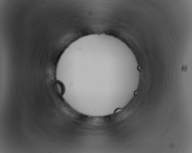 X0000101100768200807171912