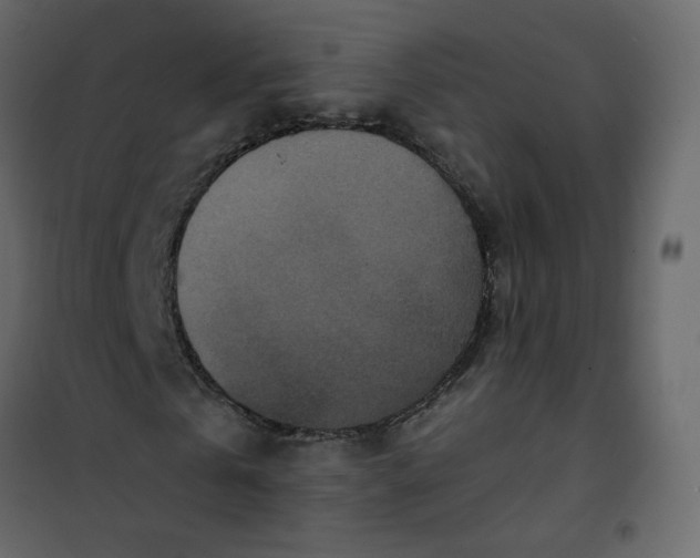 X0000101100769200807171911