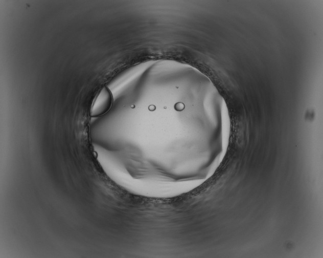 X0000101100770200807171911