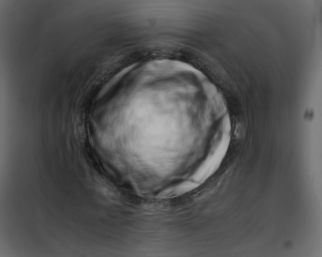 X0000101100771200807171911