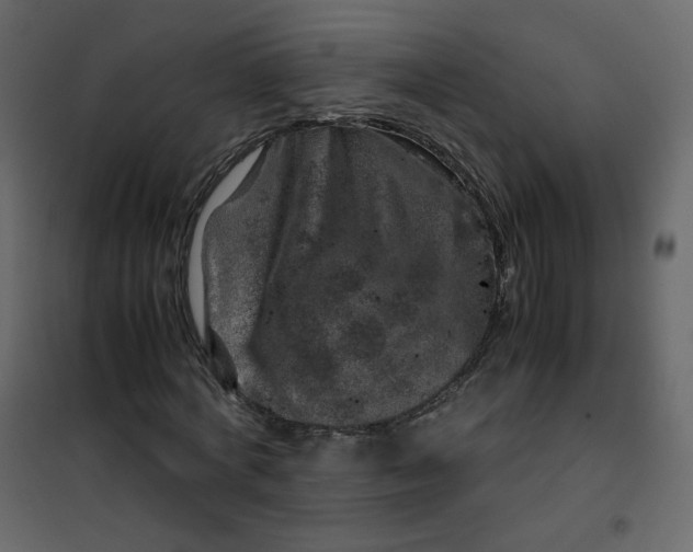 X0000101100772200807171911