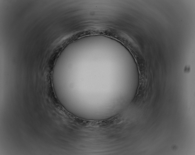 X0000101100773200807171911