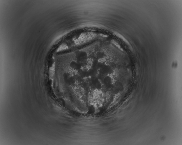 X0000101100775200807171911