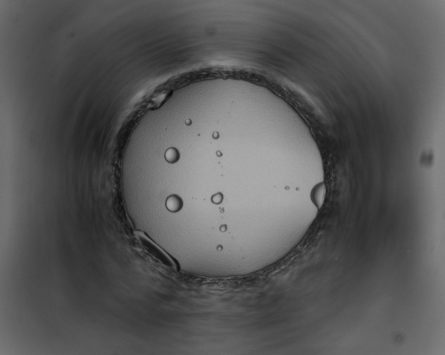 X0000101100776200807171911