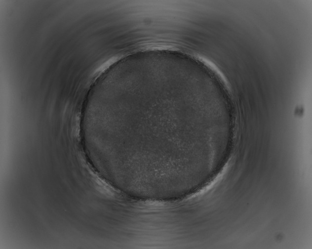 X0000101100777200807171911