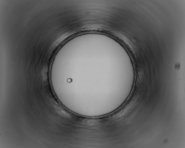 X0000101100778200807171911