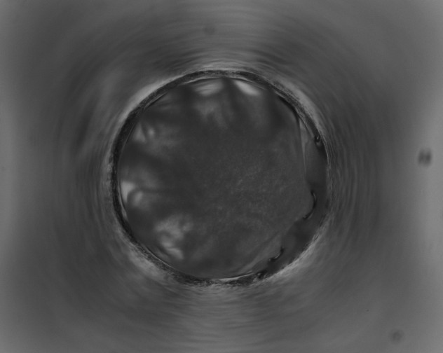 X0000101100779200807171911