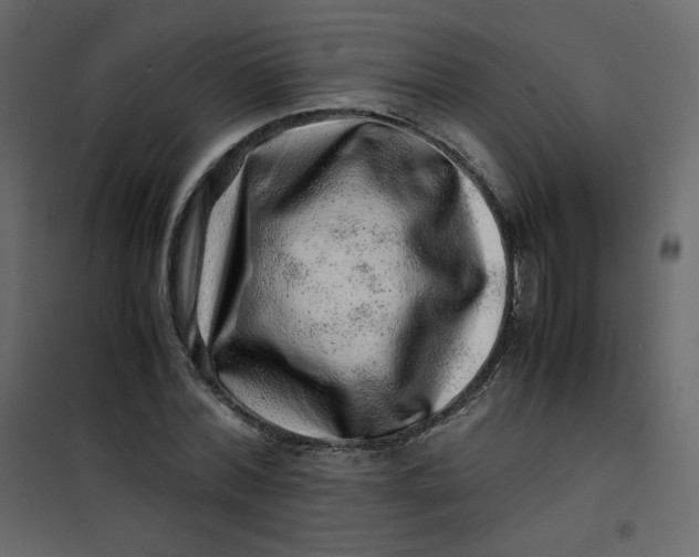 X0000101100780200807171911