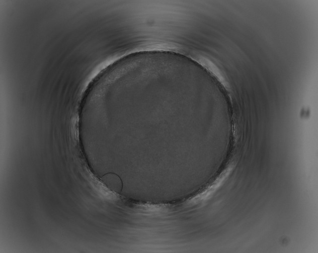 X0000101100781200807171911