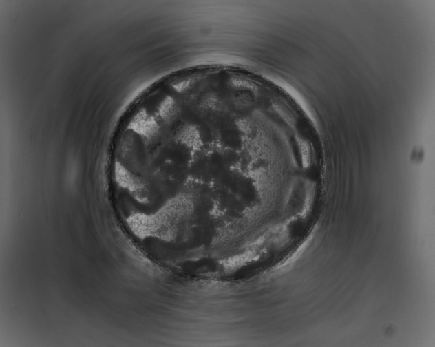 X0000101100783200807171911